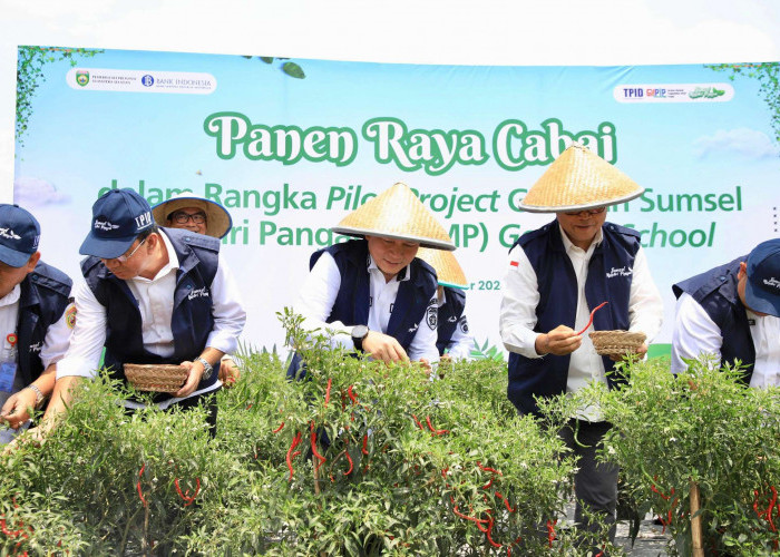 Pj Gubernur Bersama Kepala Perwakilan BI Sumsel Panen Raya Cabai di Lahan Pilot Project  SMKN 1 Gelumbang 