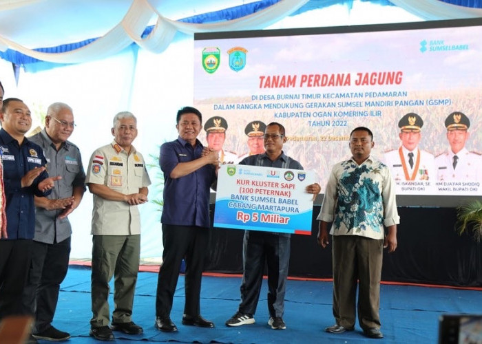 Herman Deru Optimis Produksi Jagung Meningkat Dengan Pola Corporate Framing