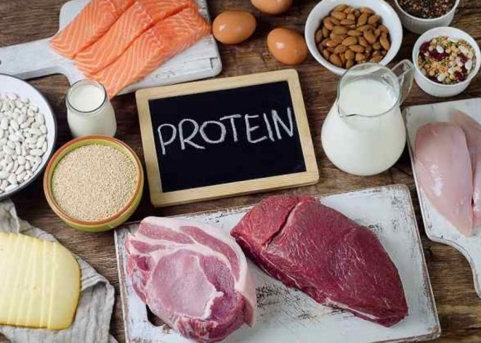 Waspada, Begini Tanda Tubuh Anda Kurang Protein