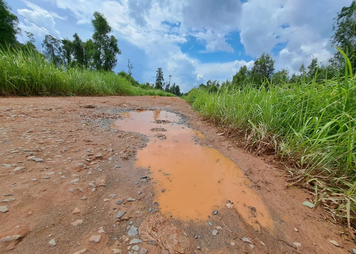 Jalan Padat Karya Mulai Banyak Muncul Kerusakan