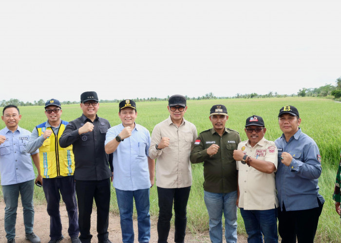 Pj Gubernur Dampingi Wamendagri Tinjau Saluran Irigasi Pertanian Di Kawasan Tanjung Lago Banyuasin