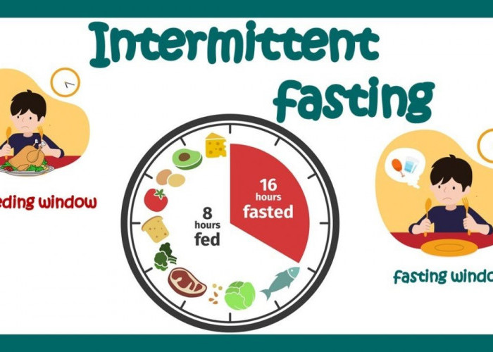 Panduan Diet Intermittent Fasting, Ampuh Turunkan Berat Badan