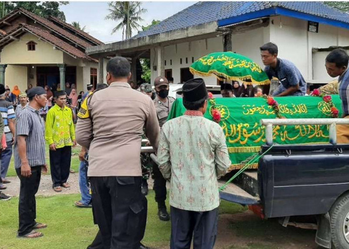 Petani di Lampung Tewas Diserang Gajah Liar