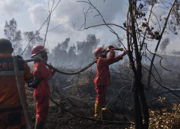 Beberapa Daerah Diguuyur Hujan, Karhutlah di Sumsel Turun Drastis