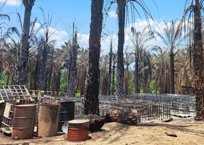 Kebakaran Tempat Penyulingan Minyak, Polsek Keluang Amankan Pemilik