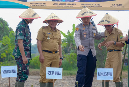 Pemkab Muba Bersama TNI Garap Lahan Nganggur untuk Penanaman Jagung