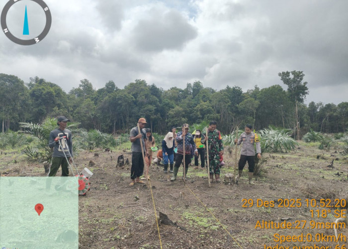 Program Ketahanan Pangan, Desa Penggage Manfaatkan Lahan untuk Kebun Jagung