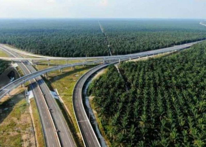 Rekor Ruas Tol Terpanjang di Indonesia Berada di Tol Trans Sumatera, Ini Besaran Biaya Pembangunannya