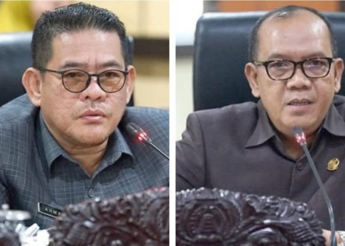 Sengketa Batas Wilayah Muba - Muratara Kembali Mencuat, Begini Pernyataan DPRD Muba