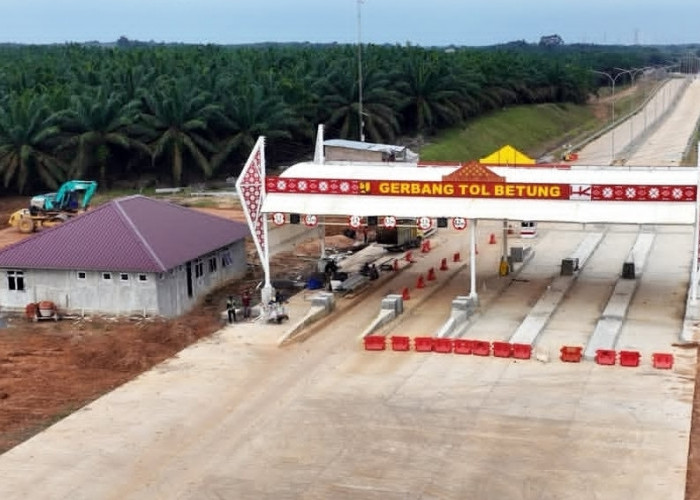 Progres Tol Betung–Tempino–Jambi Capai 39,21 Persen, Konektivitas Sumsel–Jambi Makin Nyata