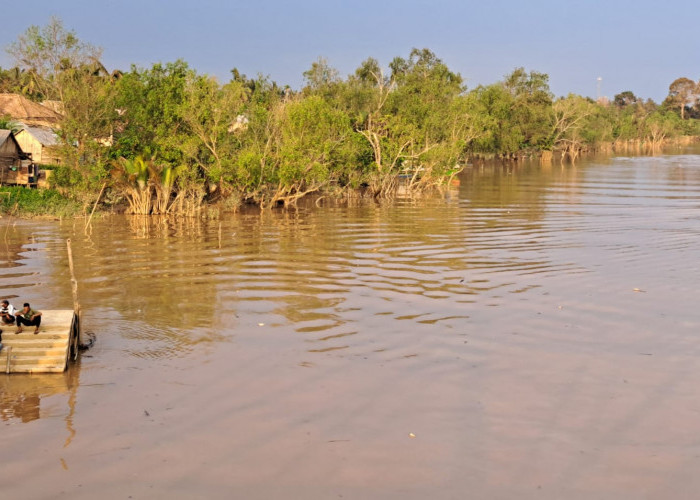 Memasuki Musim Kemarau, Warga Sungai Lilin Ramai Memancing Udang di Sungai Dawas