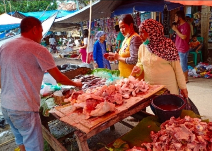 Harga Ayam Potong di Sanga Desa Melonjak hingga Rp40 Ribu per Kilogram, Permintaan Hajatan Jadi Pemicu