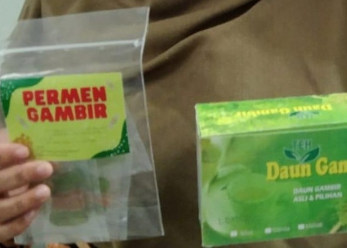 Permen Herbal Gambir Dari Muba Miliki Beragam Manfaat Bagi Kesehatan, Berikut Penjelasannya