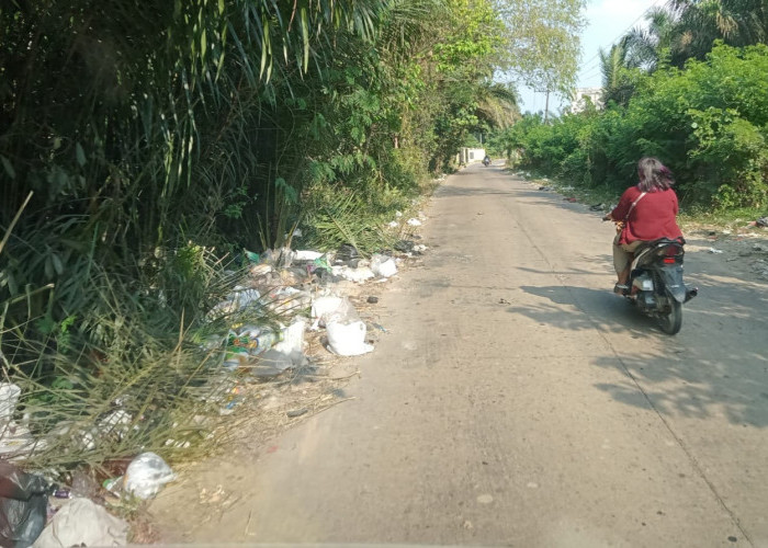 Minim Fasilitas, Warga di Wilayah Babat Toman Buang Sampah Dipinggir Jalan, Muncul Bau Tidak Sedap