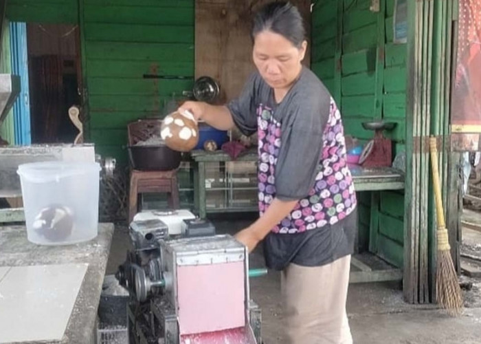 Banyak Hajatan, Pedagang Kelapa di Sanga Desa Kebanjiran Pembeli