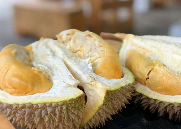 Mitos Atau Fakta, Ibu Hamil Dilarang Makan Durian, Berikut Penjelasannya