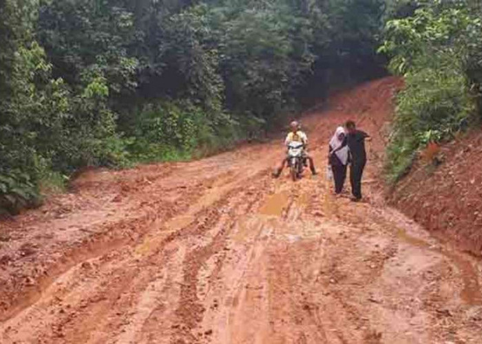 Akses Jalan Desa di Kabupaten Muba Ini Menyedihkan, Warga Berharap Perbaikan