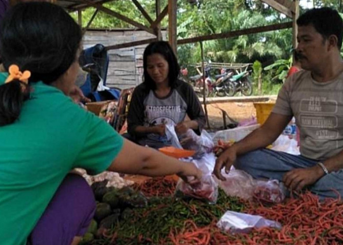 Musim Kemarau, Segini Harga Cabe di Kecamatan Sanga Desa