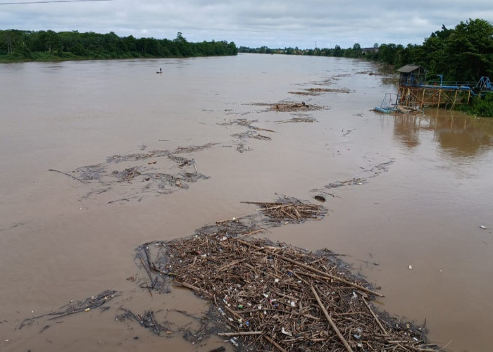 Musim Penghujan, Dalam Semalam, Ketinggian Air Sungai Musi Naik Lebih dari Satu Meter