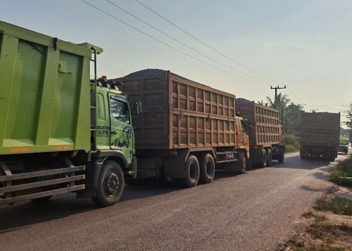 Lalu Lintas Truk Proyek Tol Betung–Jambi di Jalan Talang Siku Keluang Meningkat, Ini Keluhan Warga