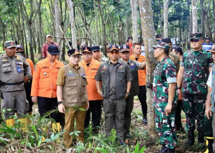 Tinjau Karhutla di Gelumbang, Pj Gubernur Sumsel dan BNPB Beri Dukungan dan Bantuan