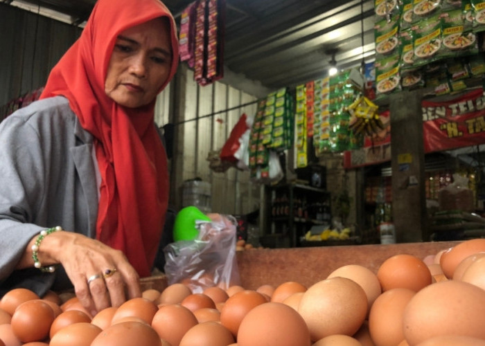 Awal Desember, Minyak Goreng Turun, Telur Ayam Malah Naik