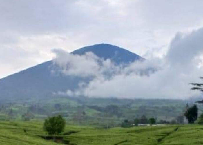 Ini 5 Gunung Tertinggi di Pulau Sumatera, Salah satunya Gunung Dempo Pagaralam . Cek Ketinggianya