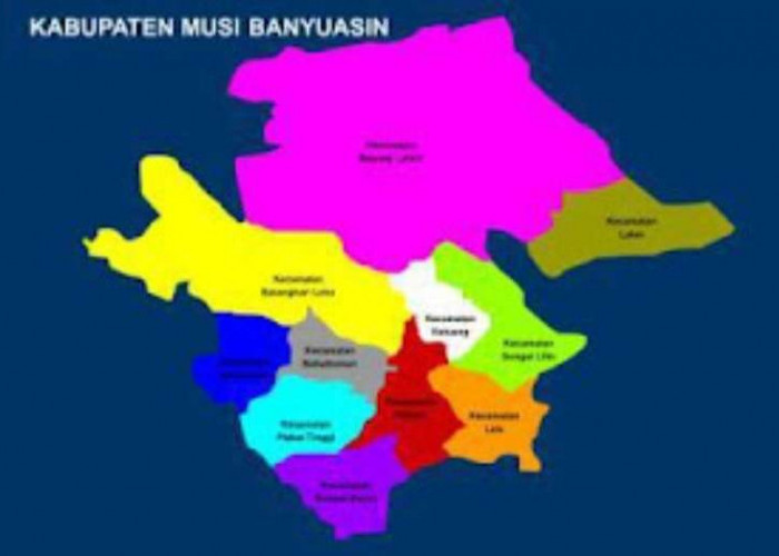 Daftar Kabupaten Terluas di Sumatera, Ternyata Musi Banyuasin Posisi Kedua