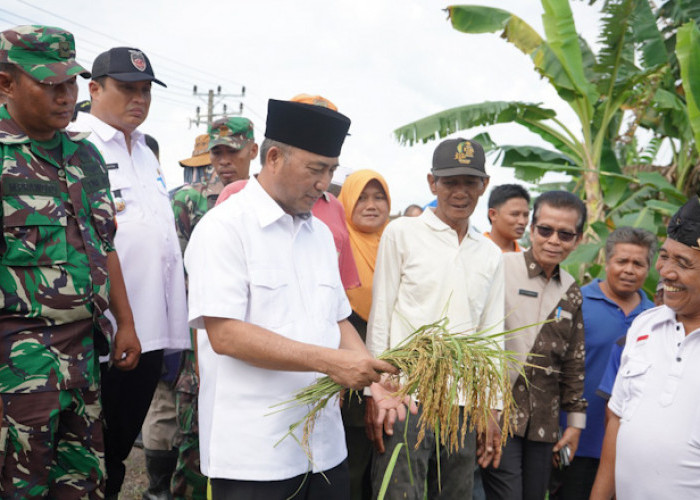 Carikan Solusi Agar Sawah di Desa Epil Tidak Banjir