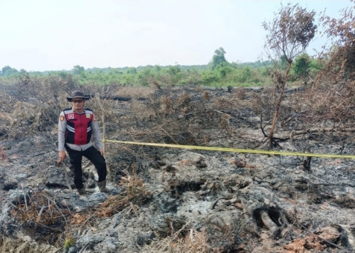 Diduga Lalai hingga Kebun Sawit di Sridamai Terbakar, Warga Sungai Lilin Diamankan Polres Muba