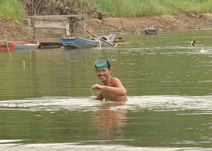 Sungai Musi Surut, Warga Kabupaten Tetangga Berdatangan Untuk Berburu Butiran Emas di Sanga Desa