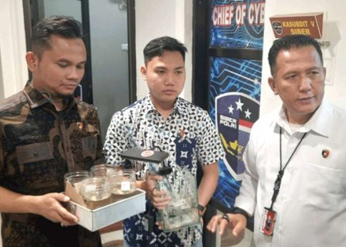 Pasutri di Prabumulih Sulap Live TikTok Jadi Judi Adu Cupang, Raup Puluhan Juta Rupiah