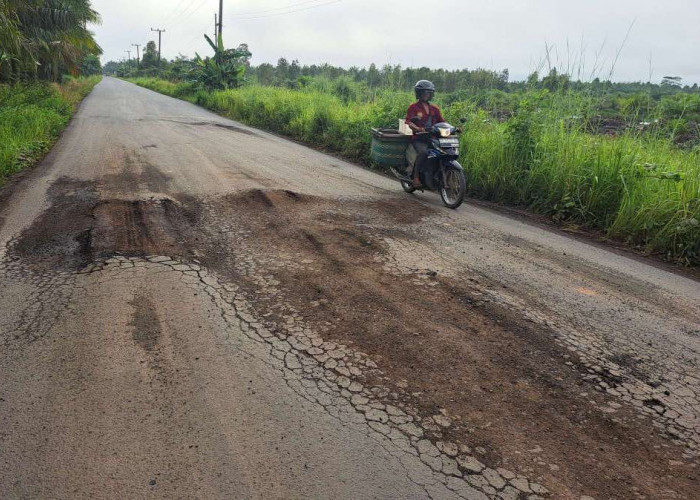 Jalan Talang Siku - Keluang Makin Banyak Kerusakan, Kendaraan Over Tonase Masih Banyak Melintas