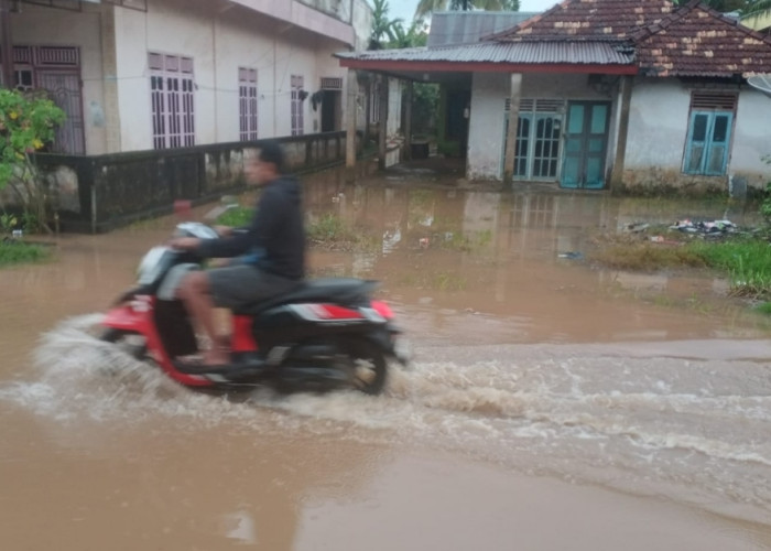 Setiap Diguyur Hujan Deras, Jalan di Sungai Lilin Selalu Tergenang Warga Keluhkan Parit Tak Mampu Tampung Air