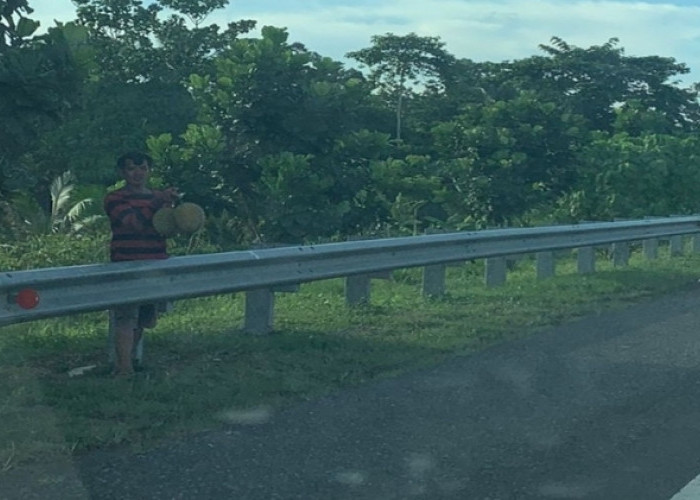 Wow, Ada Warga Jajakan Durian di Pinggir Tol Kayuagung Palembang