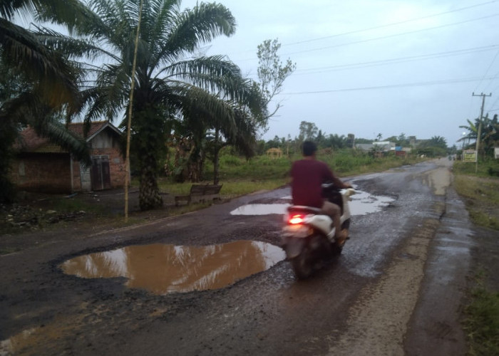 Jalan Rusak di Talang Siku Makin Parah, Beberapa Kali Menyebabkan Kecelakaan