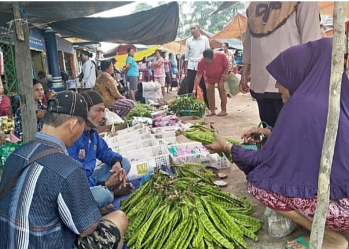 Meski Stok Banyak, Petai di Sanga Desa Masih Cukup Tinggi, Segini Harganya