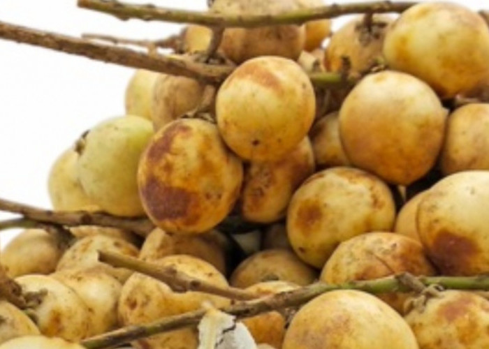 Rambai, Buah Lokal yang Kaya Nutrisi dan Manfaat Kesehatan
