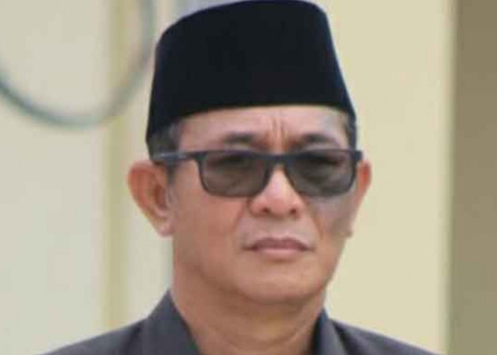 Ganjar Pranowo Dapat Mandat Capres, Ini Harapan Wakil Ketua DPD PDI Perjuangan Sumsel