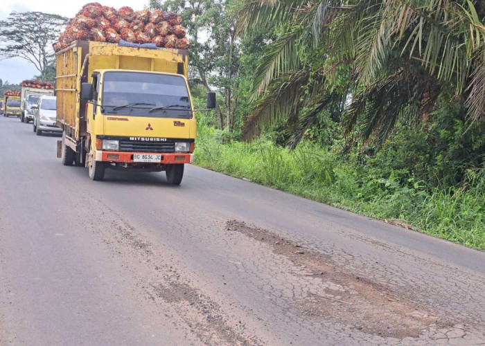 Menyedihkan, Belum Lama Diaspal, Jalan Sungai Lilin Keluang Mulai Muncul Kerusakan