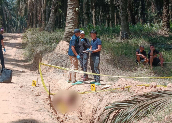 Mayat Pria Ditemukan di Parit Kebun Sawit PT Hindoli Muba, Polisi Selidiki Dugaan Korban Dibunuh