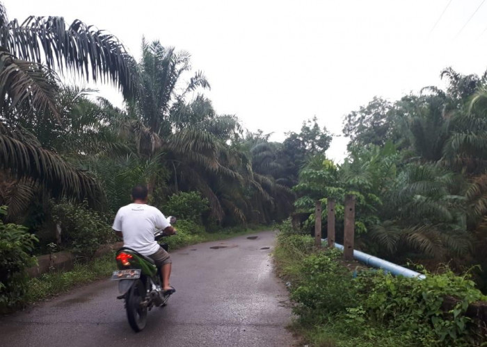 Besi Pengaman Jembatan di Jalan Poros TAB Banyak Hilang