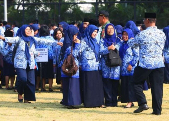 Ini Pernyataan Menpan RB, Membuat Honorer Bisa Tersenyum