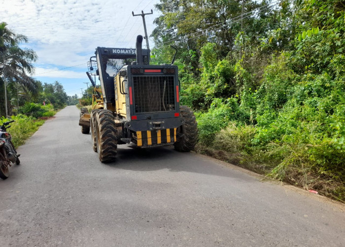 Minta Bantu Perusahaan Bersihkan Bahu Jalan Supat Barat - 108