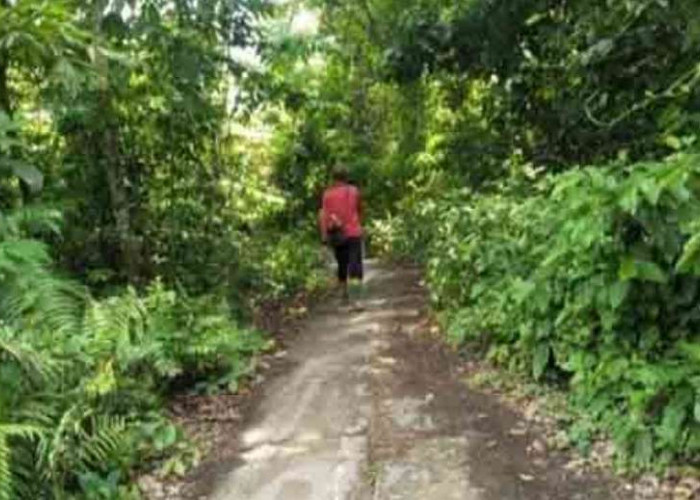 Ganggu Aktifitas, Jalan Menuju Areal Persawahan di Sanga Desa Ini Butuh Pembersihan