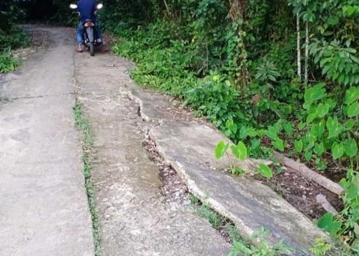 Jalan Menuju Areal Persawahan Rusak, Petani di Ngulak 1 Berharap Perhatian Pemerintah