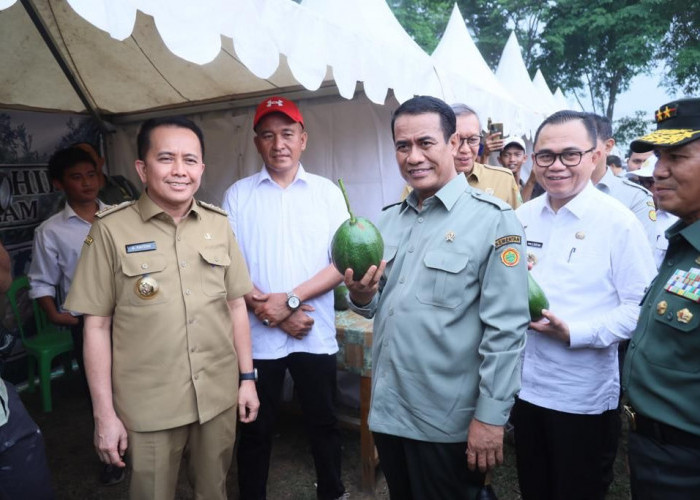 Kunjungan Kerja ke Sumatera Selatan, Menteri Pertanian RI Bawa Kabar Gembira Buat Penyuluh Pertanian