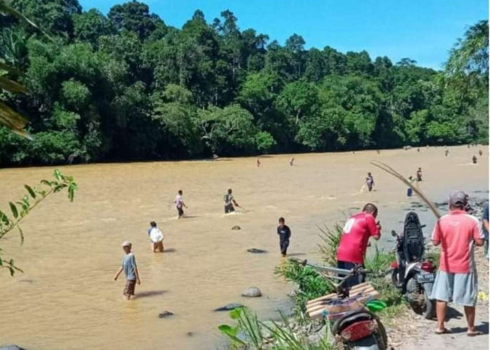 Siap-siap Fenomena Ikan Mabuk di Sungai Musi Terjadi Lagi, Dampak Erupsi Gunung Dempo