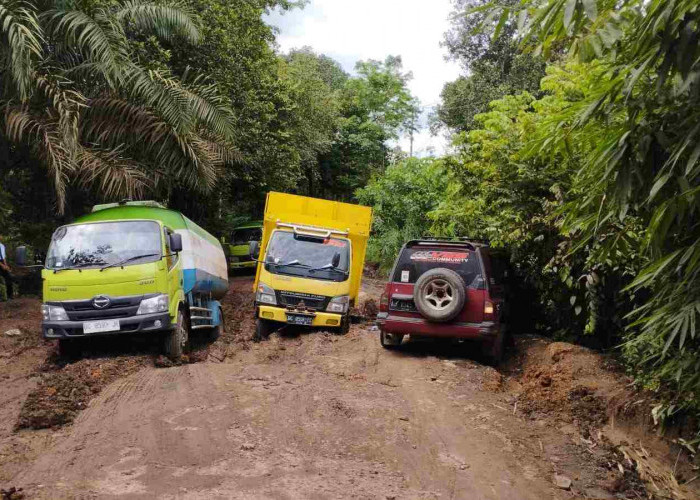 Jalan Penghubung Keluang-Sekayu Siang Ini Macet, Kendaraan Angkutan Terjebak Jalan Rusak