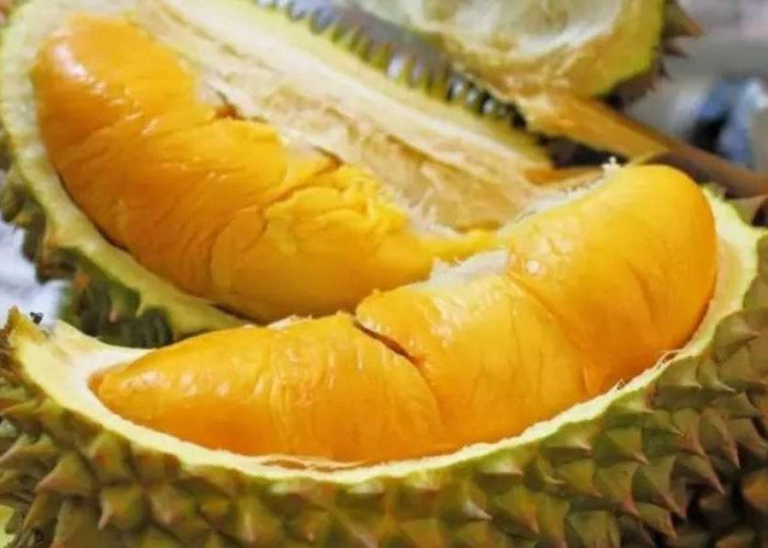 Inilah 3 Jenis Durian Terenak dan Termahal, Ada Dari Indonesia Lho